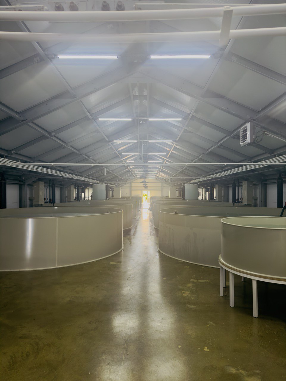 Современная аквакультурная ферма